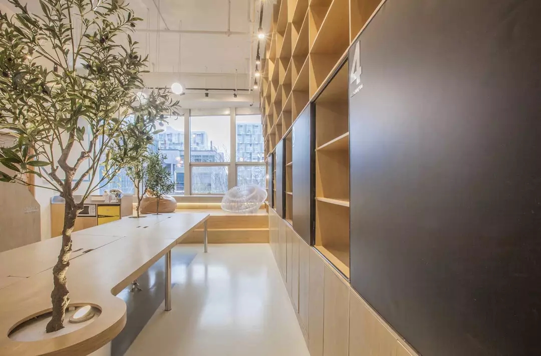 牛在墻上飛，猴子樹(shù)梢醉；這是在動(dòng)物園辦公嗎？